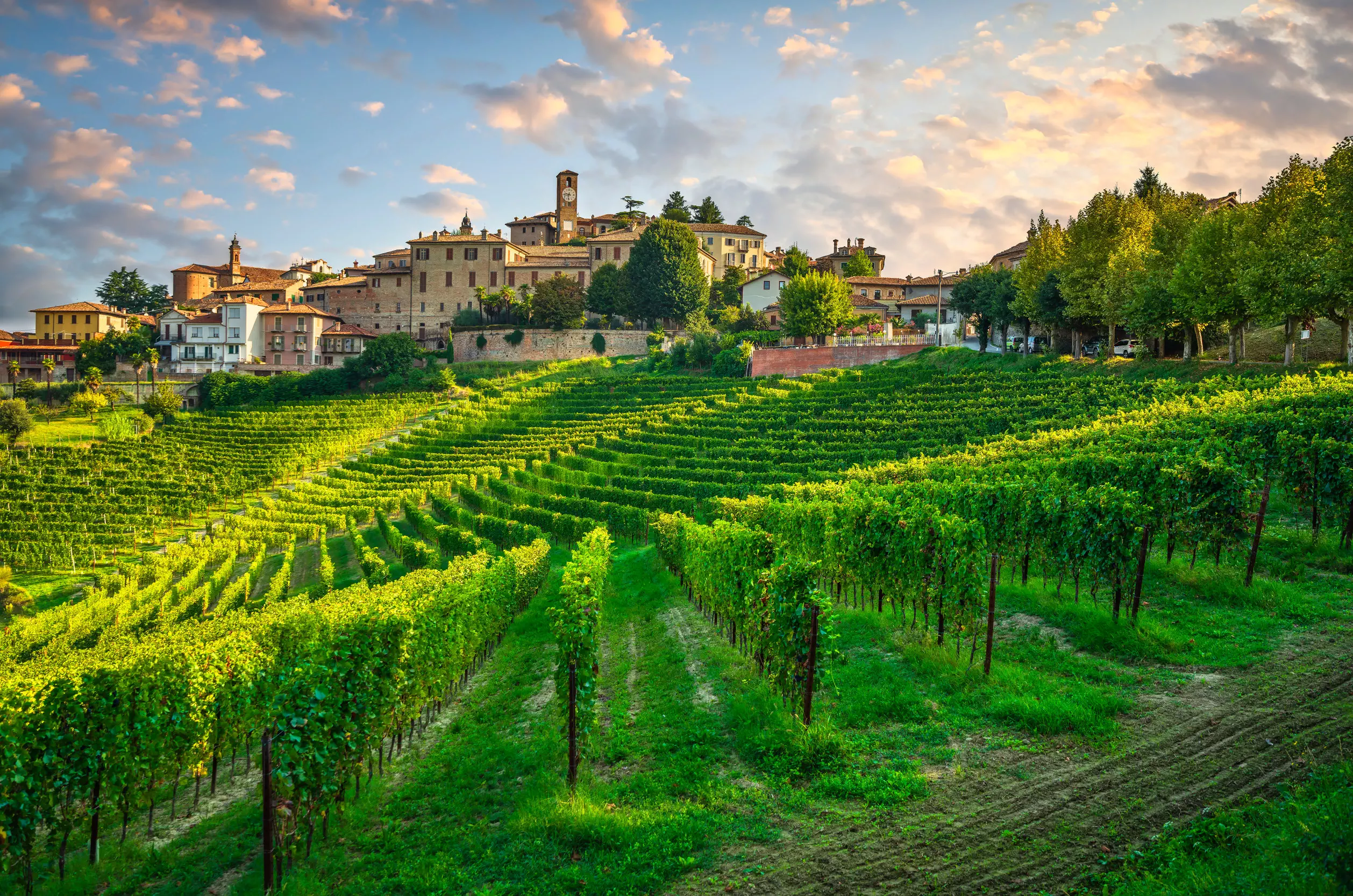 italian country garden